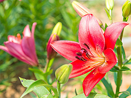 江南登录入口产品展示一