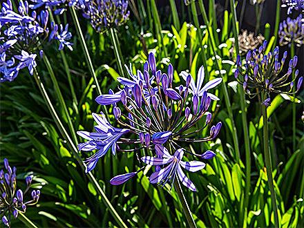 江南登录入口种植基地一