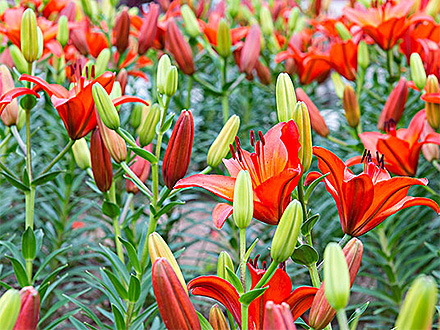 江南登录入口产品展示七