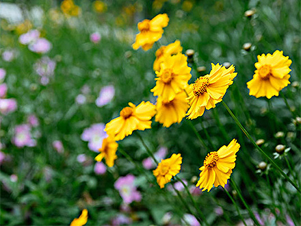 江南登录入口客户案例三