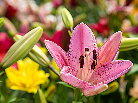 江南登录入口产品展示二